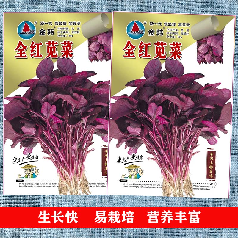 蔬菜一号夏季盆栽苋菜