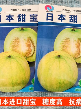 日本甜宝甜瓜种子香瓜特大白种籽春季早熟四季种孑水果种子禾之元