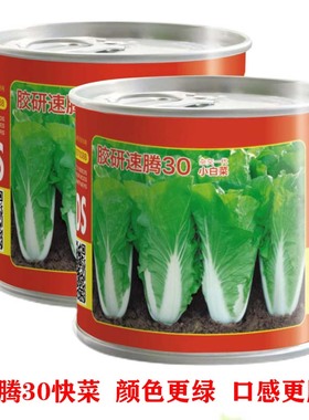 速腾30快菜种子速生小白菜种籽绿色大田夏季抗热菜种子四季蔬菜孑