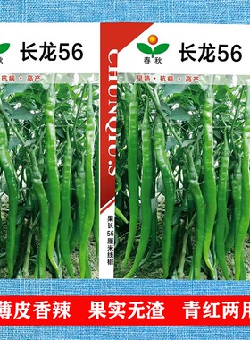 长龙56线椒种子辣椒苗超辣四季香辣高产特大蔬菜籽春季种孑大棚菜