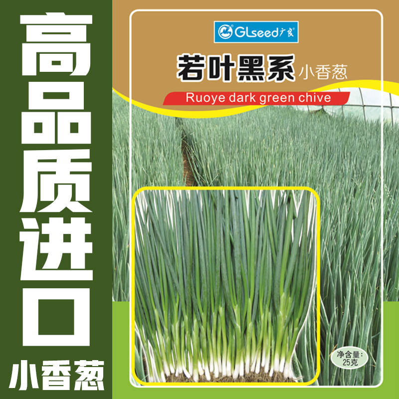 若叶黑系小香葱种子进口蔬菜四季小葱种籽四季栽高产春秋冬菜种籽