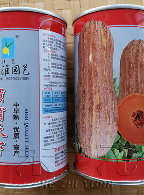 蜜霸天下蜜本南瓜种子秘本密本南瓜蔬菜种孑蔬菜春播正品四季大南