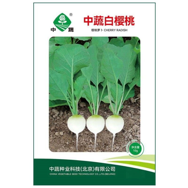 中蔬白樱桃萝卜种子水果萝卜小盆栽罗卜籽四季盆栽农家春秋冬种孑,鲜花速递/花卉仿真/绿植园艺,家庭园艺种子,淘宝优惠券,粉丝福利购,淘宝优惠卷