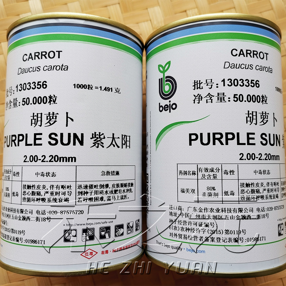 紫太阳紫胡萝卜种子种孑种籽紫红色黄心或紫心特色蔬菜新奇特大田