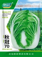 [Кочанная капуста раннеспелая Цюгуань 70] Оригинальные семена китайской капусты 10г раннеспелые и красивые по форме.