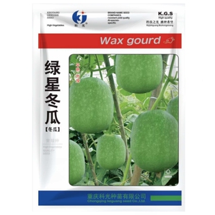 绿星冬瓜种子传统小节瓜种籽春季秋冬季四季高产春庭院农家种孑