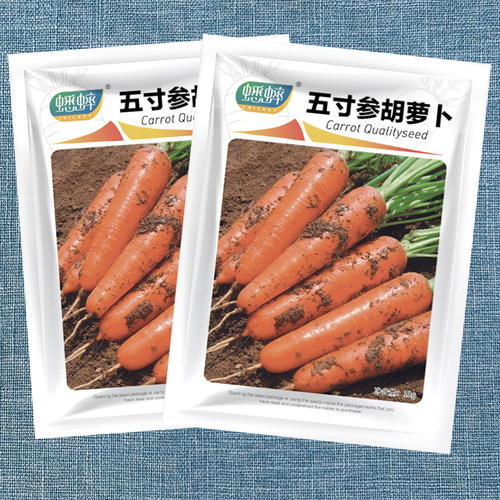 蔬菜五寸四季秋冬胡萝卜种子