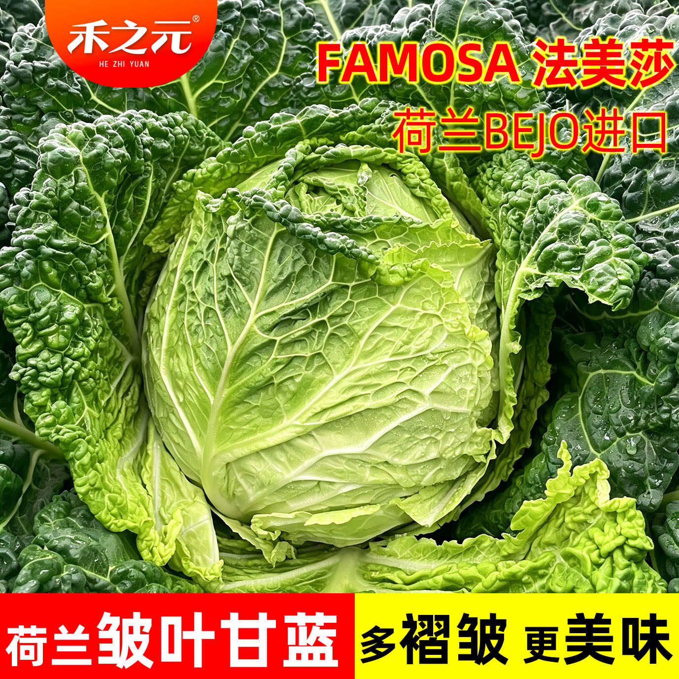 皱叶甘蓝种子泡泡甘蓝甘兰种籽沙拉春夏秋播蔬菜四季蔬菜种孑盆栽