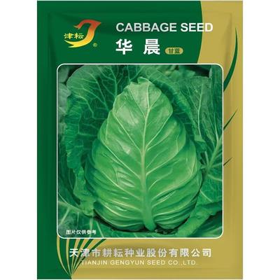 水果牛心甘蓝种子包菜籽夏秋栽培