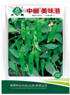 中椒美味港港椒种子腌咸菜子弹椒泡椒籽春季四季农家田园盆栽种孑