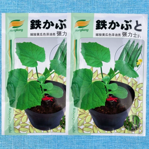 Shouguang растительные семена корневицы PowerShield Cucumber Привитые семена джингтиан тайму