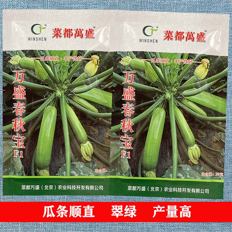 春秋宝f1西葫芦种子春季秋季种苗