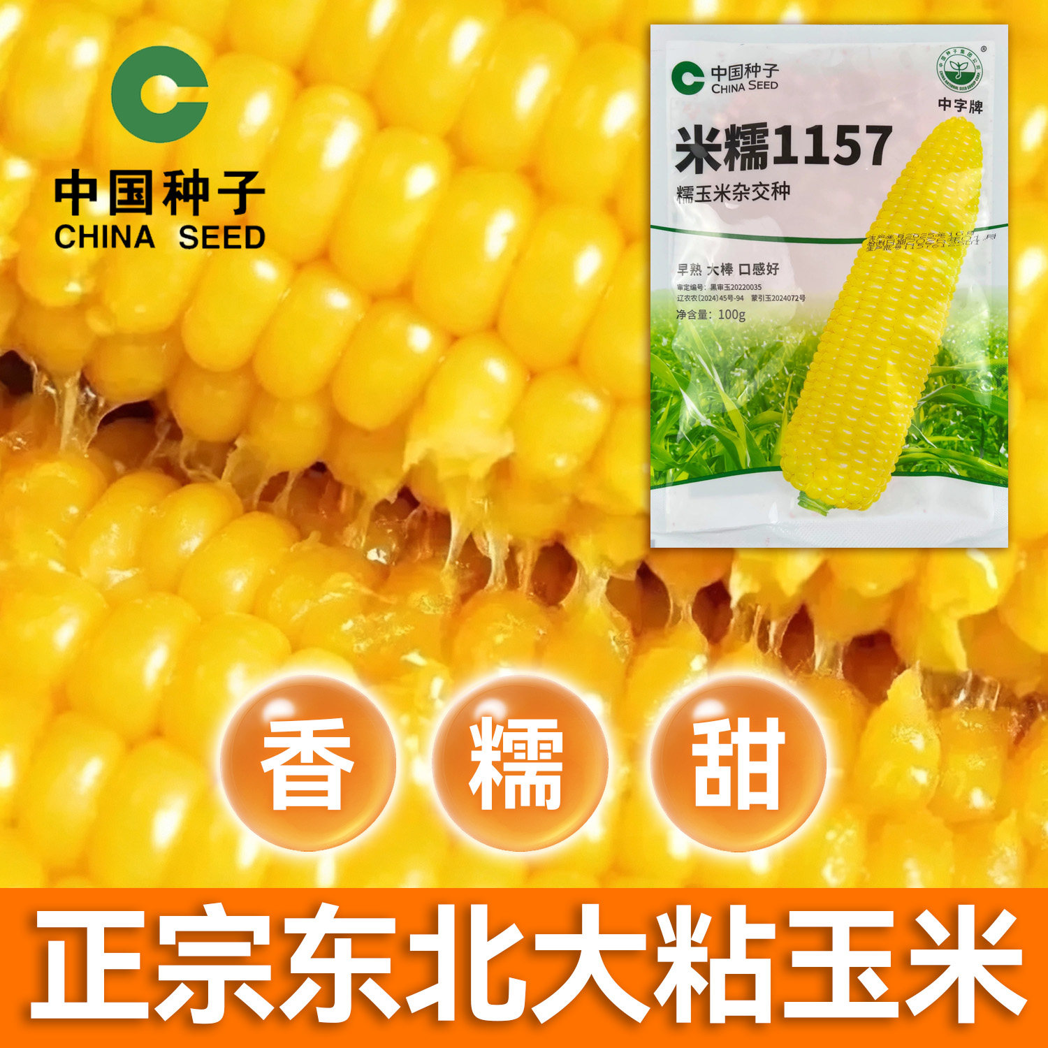 米糯1157黄糯粘玉米种子 大棒 早熟东北粘甜老品种籽玉米中种集团