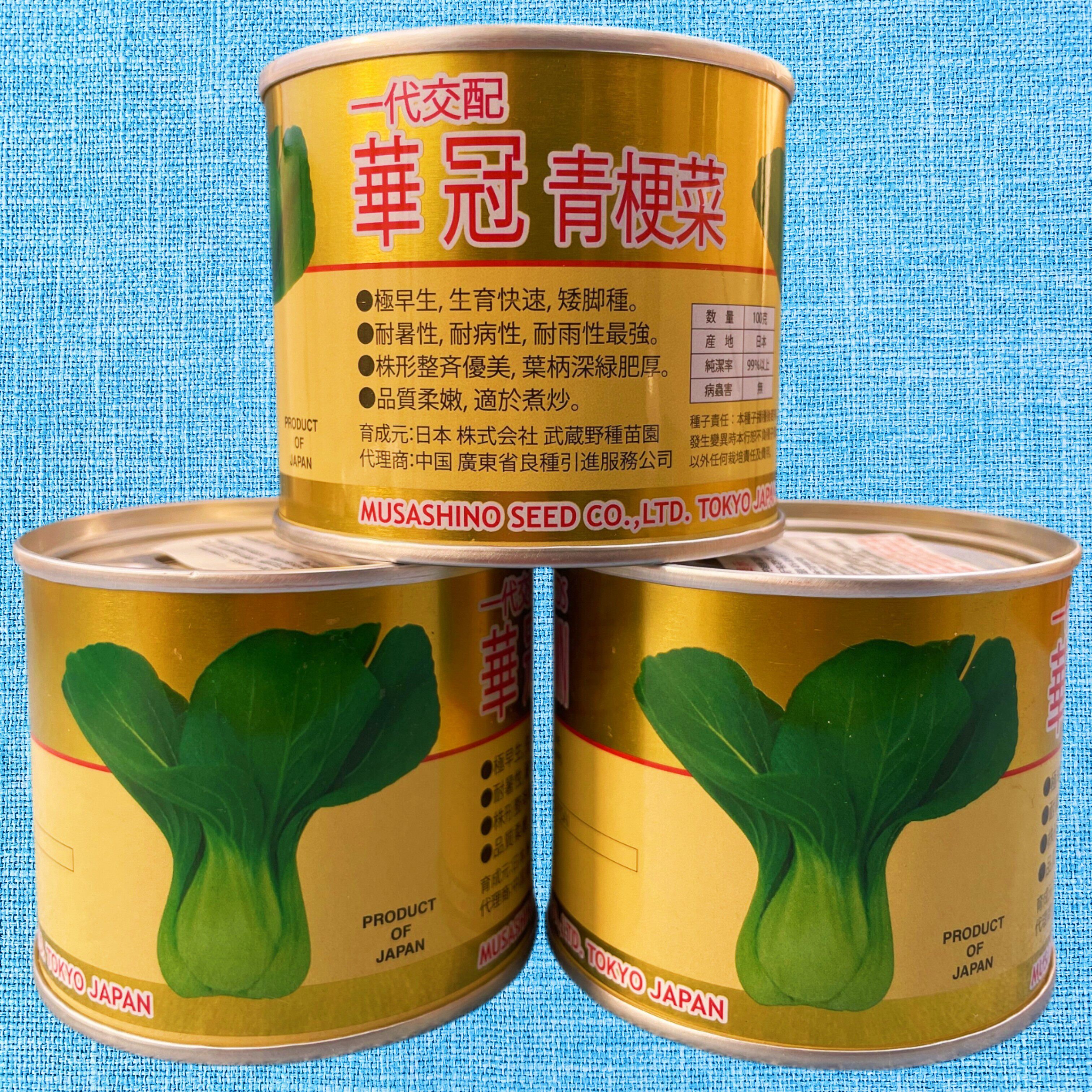 华冠青梗菜种子罐装鸡毛菜种子 早熟耐热耐寒蔬菜种籽禾之元种业 - 实物图