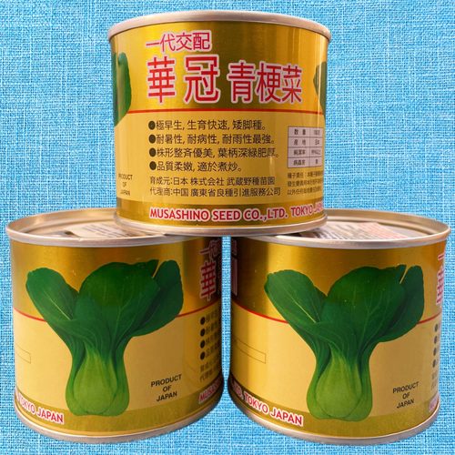 蔬菜华冠罐装耐热禾之元青梗菜