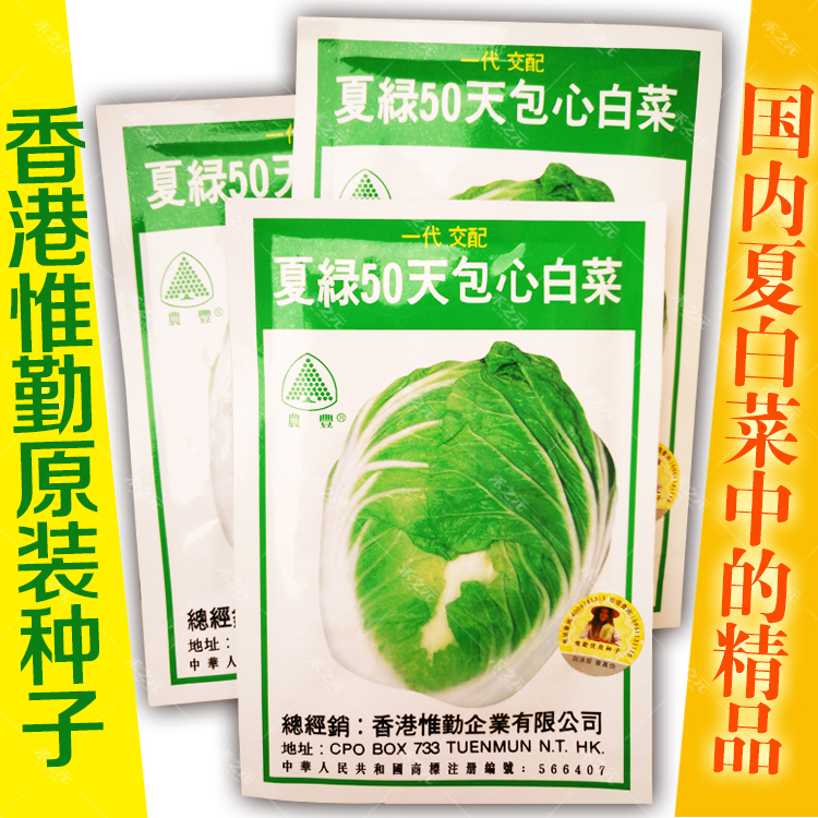 夏绿50天夏季高温种孑夏阳秋播