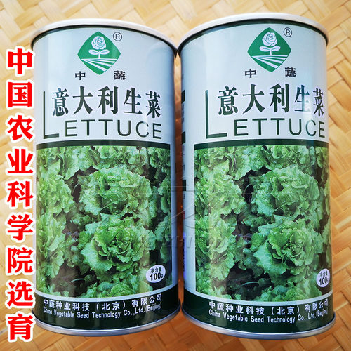 意大利生菜种子中国农科院四季