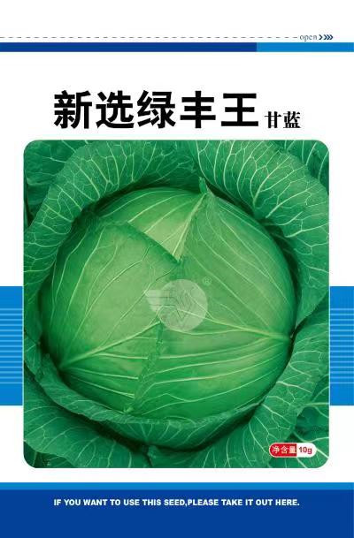 扁球绿丰王甘蓝种子耐热春秋季