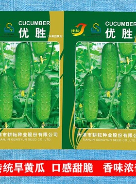 优胜旱黄瓜种子菜籽水果黄瓜种籽四季地黄瓜秋盆栽阳台蔬菜种孑