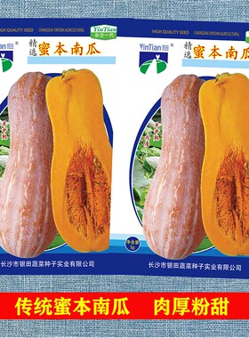 精选蜜本南瓜种子传统秘本密本南瓜蔬菜种孑蔬菜春播正品四季大南