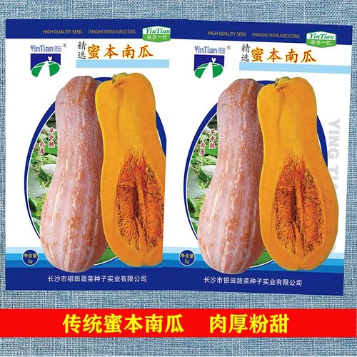 精选传统蜜本南瓜种子