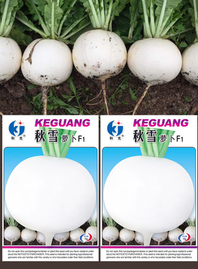 秋雪农科院秋雪大白圆萝卜种子白皮白肉罗籽水果四季农家春季秋种