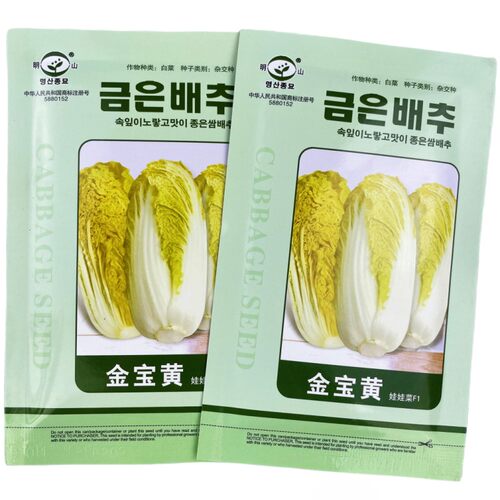韩国金宝黄F1娃娃菜种子