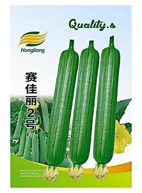 赛佳丽2号丝瓜种子高产口感香甜