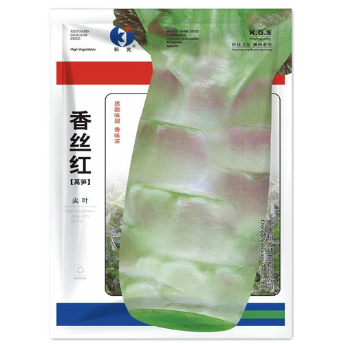 香丝红四季夏秋青菜之元莴笋种子