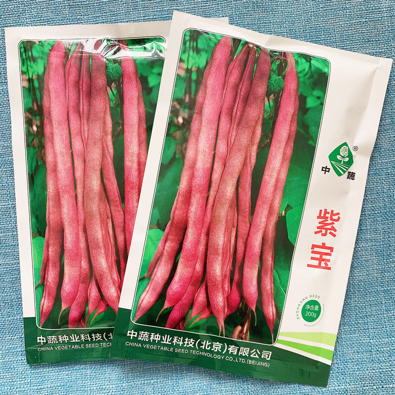 中蔬紫宝菜豆蔬菜春秋紫架豆种子紫架豆种子禾之元种业四季芸豆,鲜花速递/花卉仿真/绿植园艺,家庭园艺种子,淘宝优惠券,粉丝福利购,淘宝优惠卷