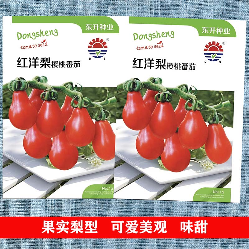 蔬菜红洋樱桃圣女果四季番茄种子