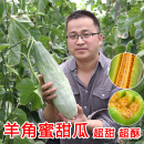 羊角蜜甜瓜种籽羊角酥甜瓜种子西瓜香瓜苗春季 水果种孑密大全 四季