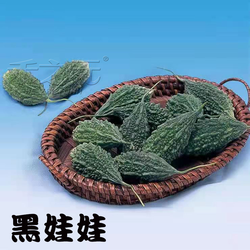 黑娃娃黑色小濑瓜种子盆栽赖癞葡萄金铃子籽蔬菜种孑秋冬春季四季