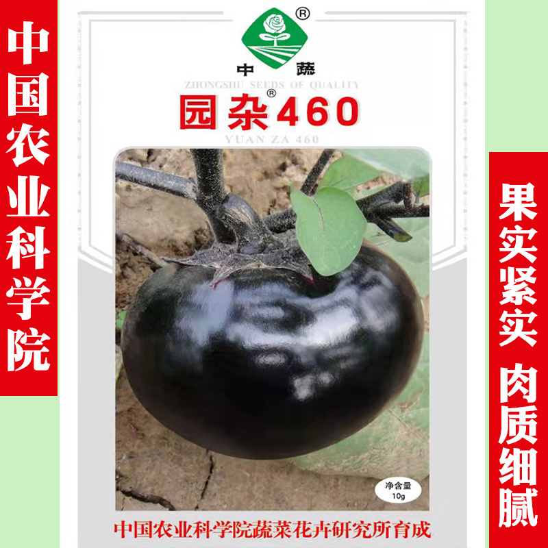 园杂460圆茄子种子蔬菜种籽中早熟一代杂种紫黑果皮中国农业科院