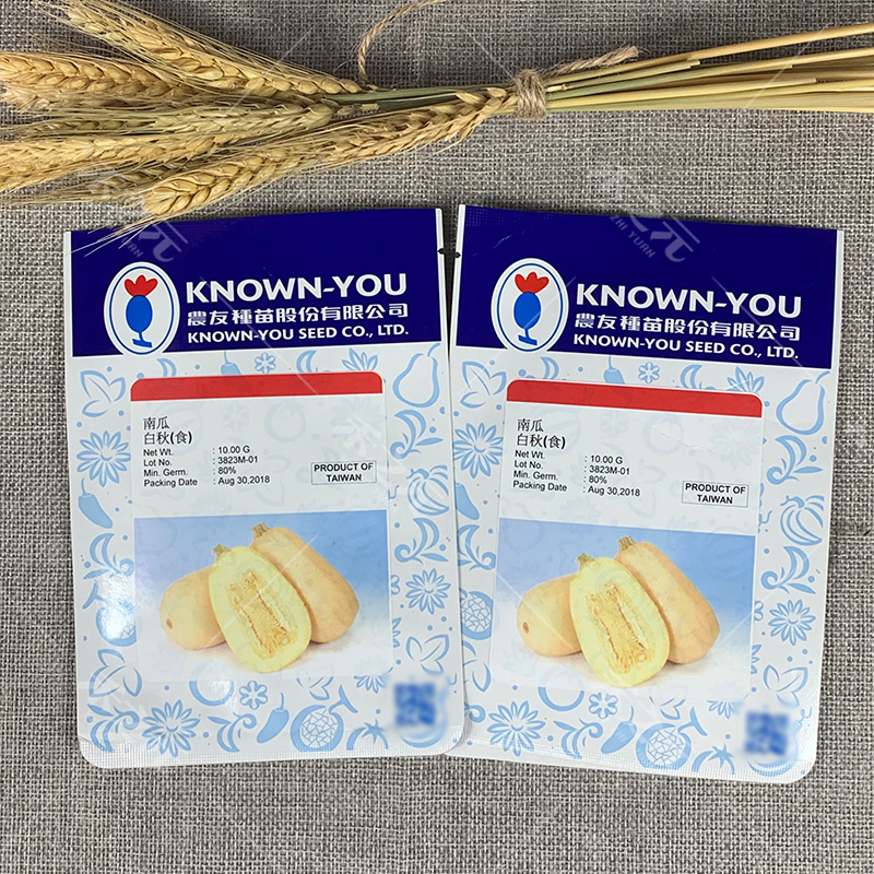 蔬菜粉丝黄金西葫芦种苗搅瓜