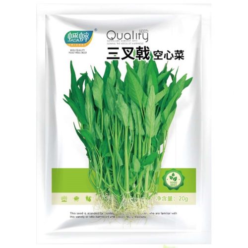蟋蟀三丫盆栽禾之元空心菜种子