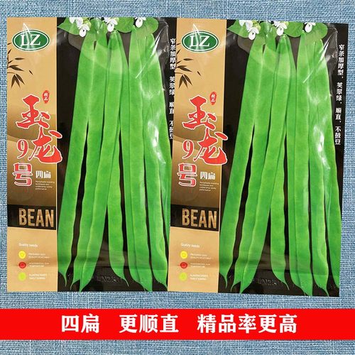 玉龙9号四扁芸豆种子高产