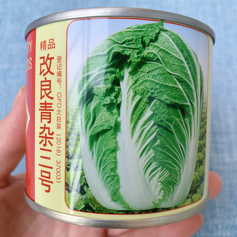 改良青杂三号大白菜种子种孑种籽季王秋季冬山东胶州冬禾之元种业