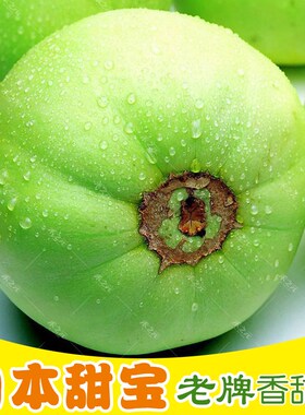 蟋蟀牌日本甜宝甜瓜种子绿宝香瓜特大白种籽春季四季种孑禾之元