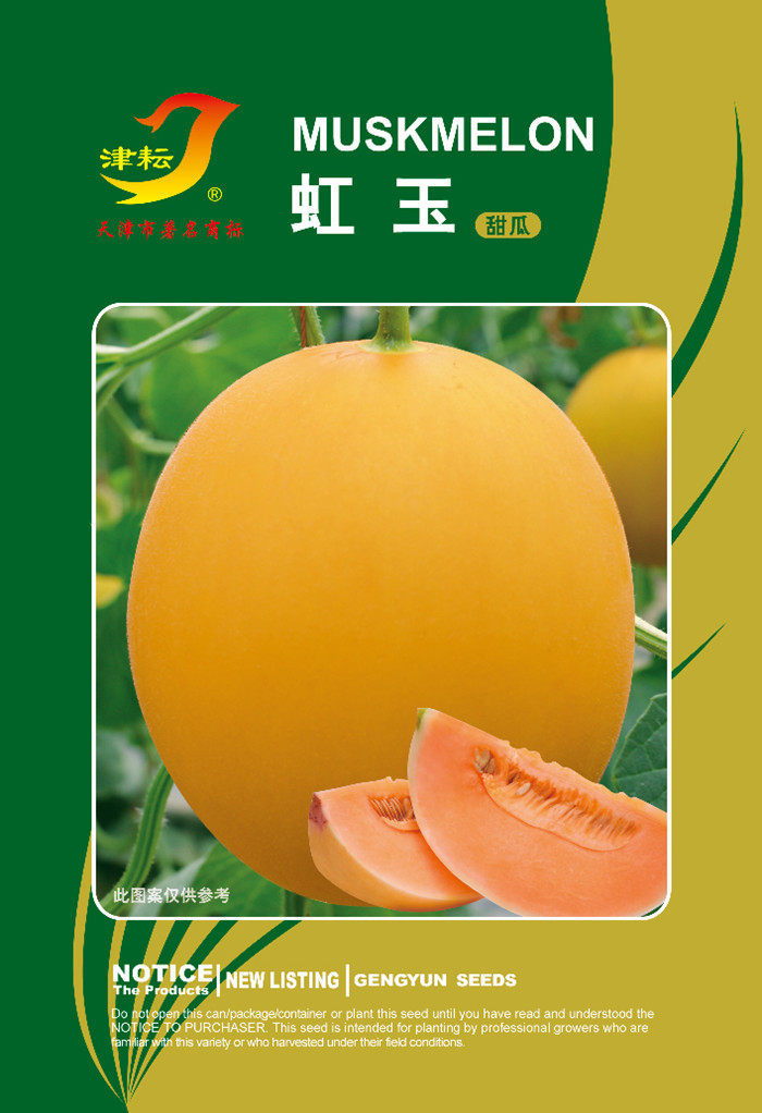 虹玉黄皮红肉甜瓜种子四季春季红肉早熟甜香高糖甜瓜种籽正品盆栽