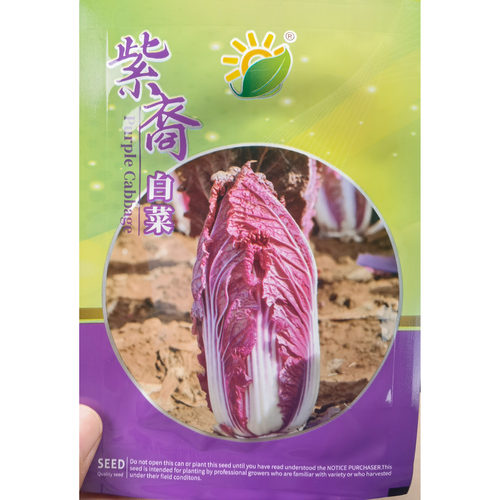 紫裔紫白菜种子大白菜