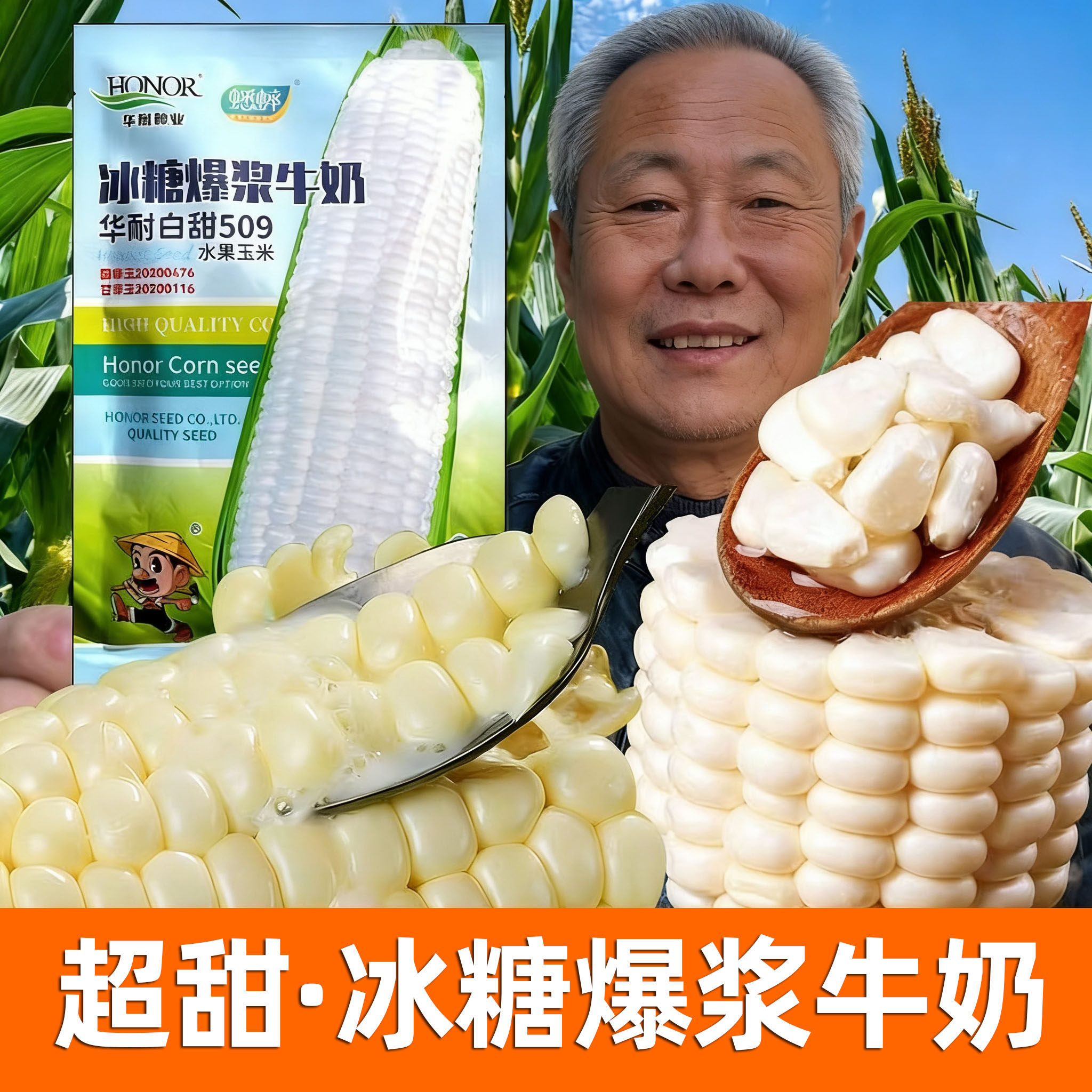 白甜509水果玉米种子白甜冰糖爆浆甜春季夏秋玉米雪甜中农甜488