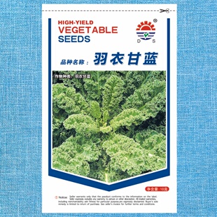 东升国产羽衣甘蓝种籽羽衣甘兰甘蓝四季春季保健蔬菜种孑