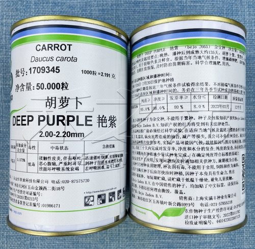 艳紫胡萝卜种子紫色胡萝卜