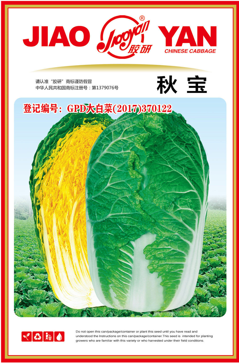 秋宝黄芯秋播大白菜种子秋季冬储黄心白菜种籽蔬菜山东大白菜冬季