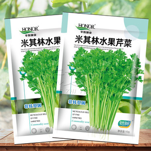 米其林水果芹菜种子大全芹菜种籽大全芹菜种子青菜籽蔬菜种孑农家