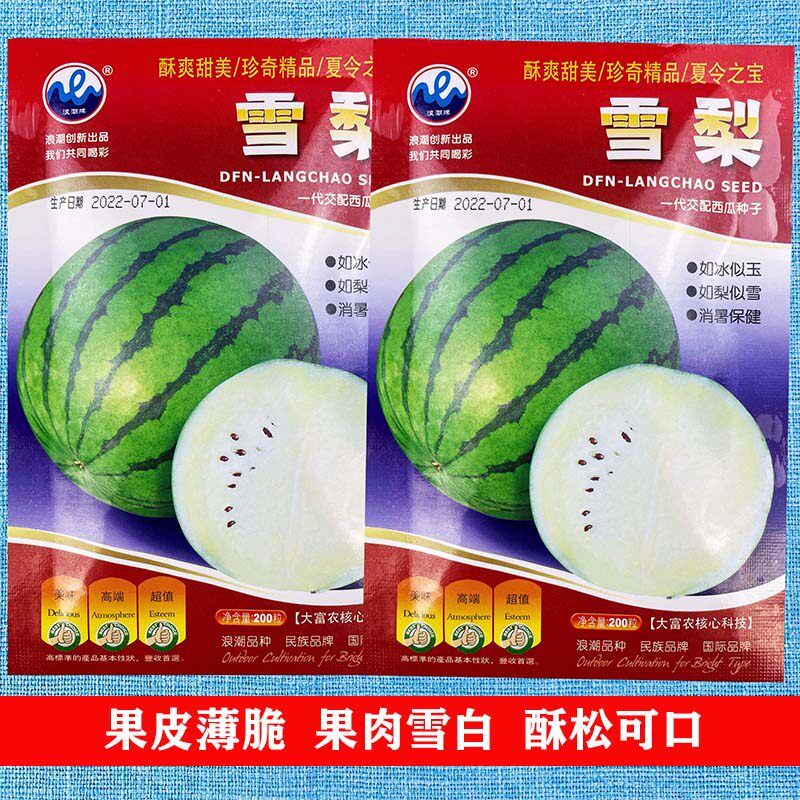 雪梨西瓜种子特色礼品高糖春季