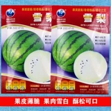 Семена арбуза Сиднея Специальный подарок Новые семена арбуза