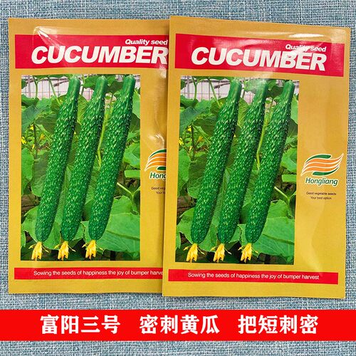 寿光种子荷兰引进富阳三号黄瓜种子越冬蔬菜种苗耐低温越冬早春播