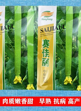 赛佳丽丝瓜种子丝瓜种籽苗高产四季春季四季蔬菜种孑禾之元种业